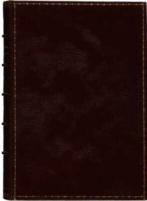 Достоевский Ф.М. Подросток. Ч. I-III. СПб.: Типография и хромолитография А. Траншеля, 1876.